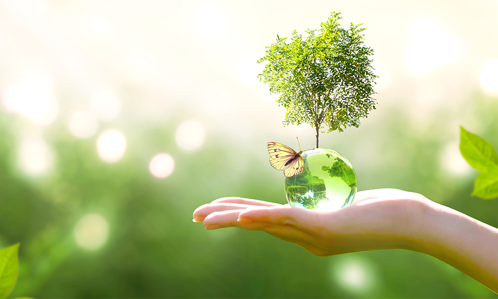 Earth Day